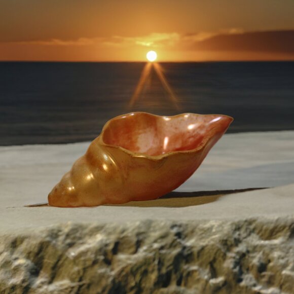 Resin Seashell with small Goldfish Figurine Trinket ,Mixed Color Unique - Picture 1 of 7